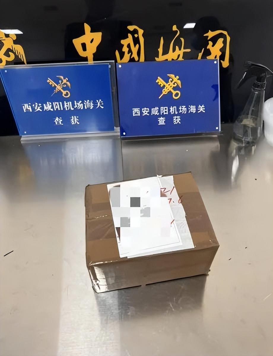 机场海关动态解析，顺利完成出入境手续详解