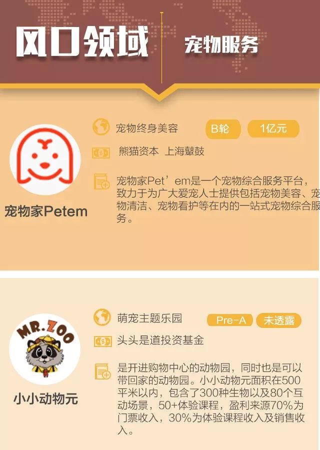 最新宠物项目，创新与传统碰撞的宠物新世界